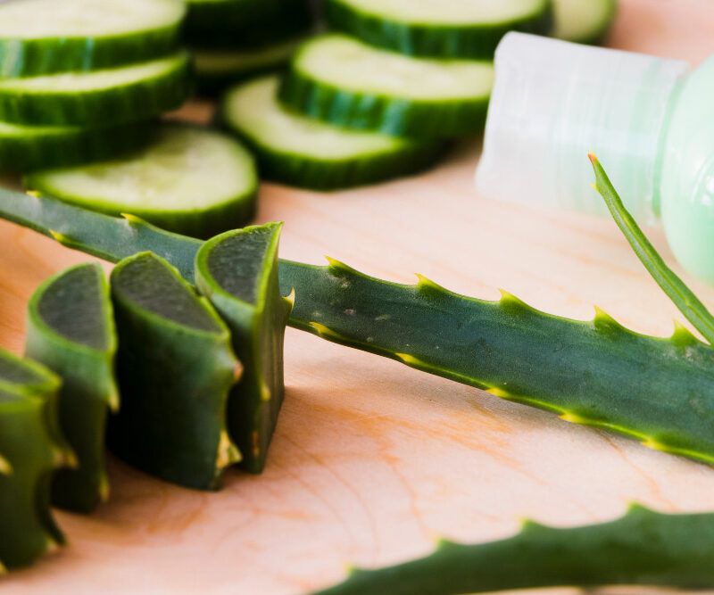 You are currently viewing 12 Aloe Vera Benefits for Your Skin
