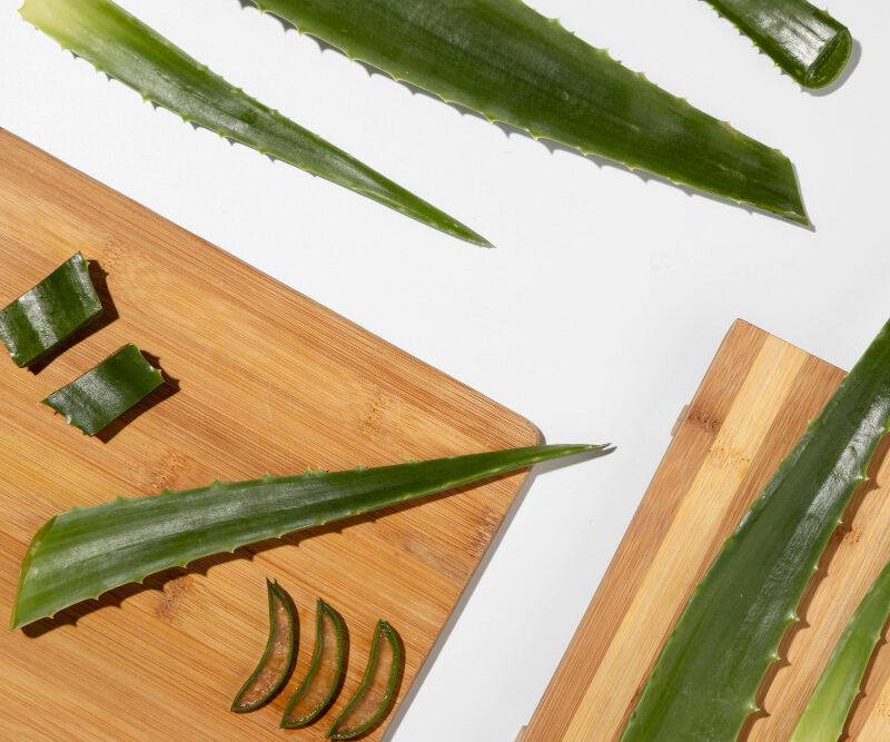 You are currently viewing 10+ Ways Aloe Vera Can Transform Your Hair
