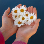 4 Natural DIY Chamomile Bath Salts Recipes