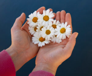 Read more about the article 4 Natural DIY Chamomile Bath Salts Recipes