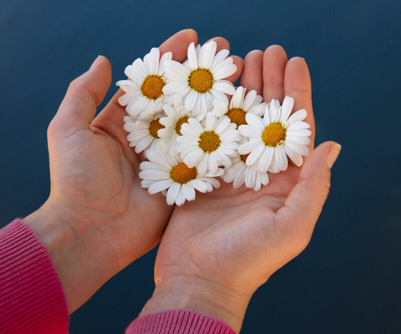 You are currently viewing 4 Natural DIY Chamomile Bath Salts Recipes
